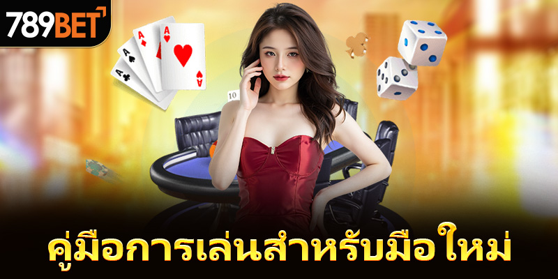 คู่มือการเล่นสำหรับมือใหม่